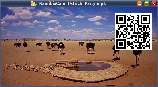 Screenshot of QR code on video