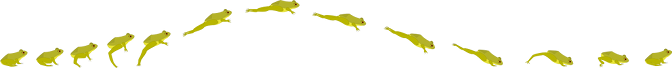 The final image of the frog in motions is exported to PNG image format The frog in motion